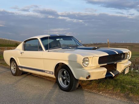 Shelby-Mustang 1965/66